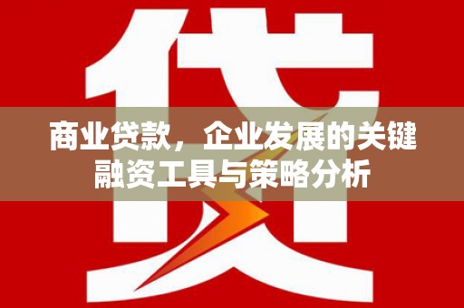 连云商业贷款，企业发展的关键融资工具与策略分析