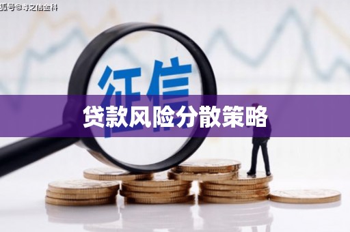 连云贷款风险分散策略