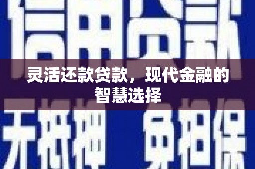 连云灵活还款贷款，现代金融的智慧选择