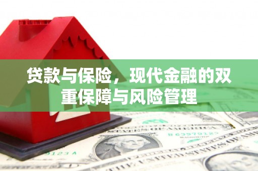 连云贷款与保险，现代金融的双重保障与风险管理