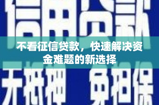 连云不看征信贷款，快速解决资金难题的新选择