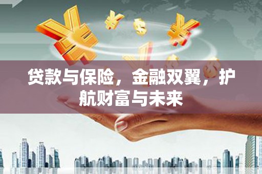 连云贷款与保险，金融双翼，护航财富与未来