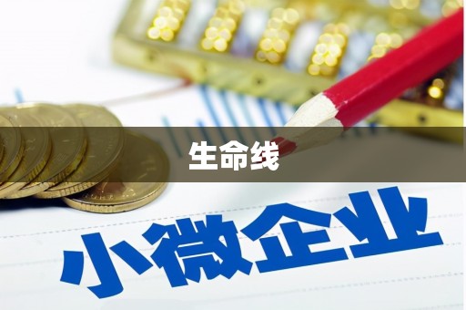 连云生命线