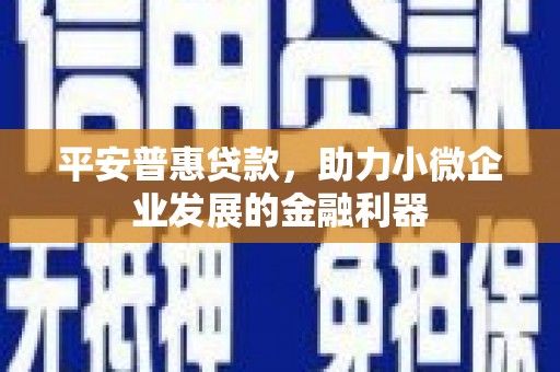 连云平安普惠贷款，助力小微企业发展的金融利器