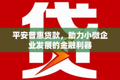 连云平安普惠贷款，助力小微企业发展的金融利器