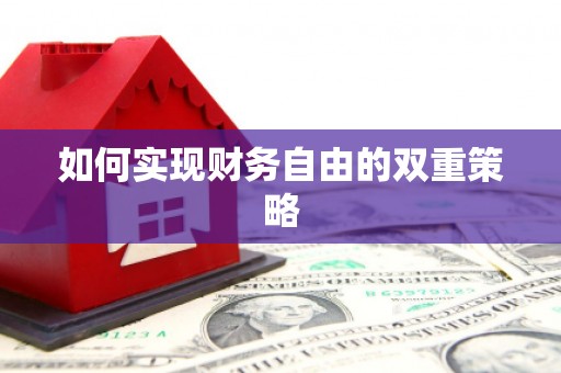 连云如何实现财务自由的双重策略