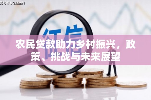 连云农民贷款助力乡村振兴，政策、挑战与未来展望