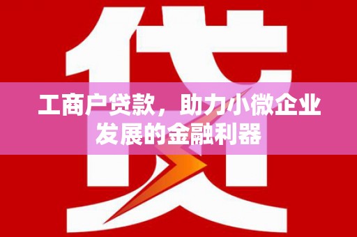 连云工商户贷款，助力小微企业发展的金融利器