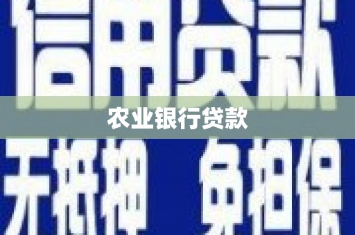 连云农业银行贷款