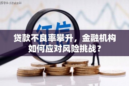 连云贷款不良率攀升，金融机构如何应对风险挑战？