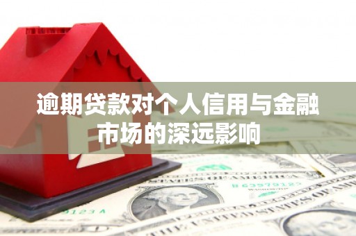 连云逾期贷款对个人信用与金融市场的深远影响