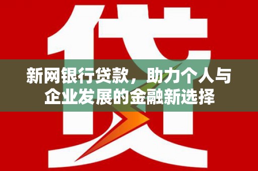 连云新网银行贷款，助力个人与企业发展的金融新选择