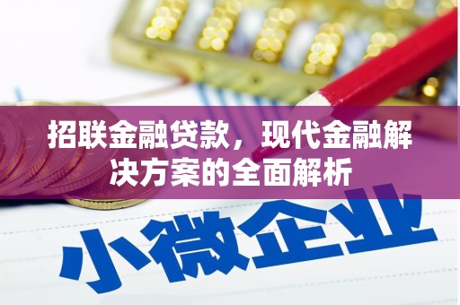 连云招联金融贷款，现代金融解决方案的全面解析