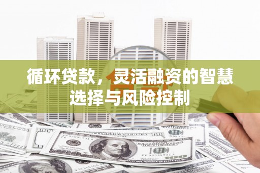 连云循环贷款，灵活融资的智慧选择与风险控制