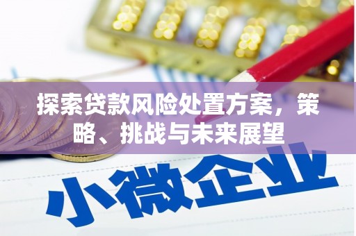 连云探索贷款风险处置方案，策略、挑战与未来展望