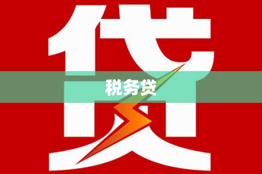 连云税务贷