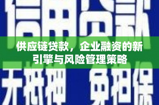 连云供应链贷款，企业融资的新引擎与风险管理策略