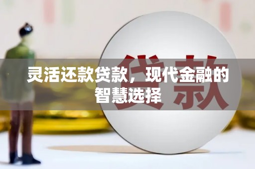 连云灵活还款贷款，现代金融的智慧选择