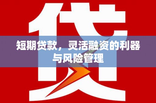 连云短期贷款，灵活融资的利器与风险管理