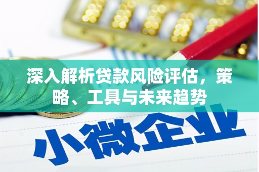 连云深入解析贷款风险评估，策略、工具与未来趋势