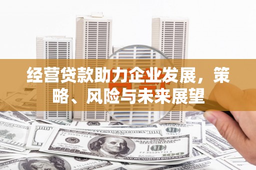 连云经营贷款助力企业发展，策略、风险与未来展望