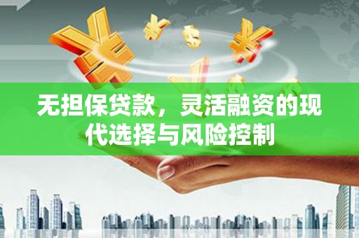 连云无担保贷款，灵活融资的现代选择与风险控制