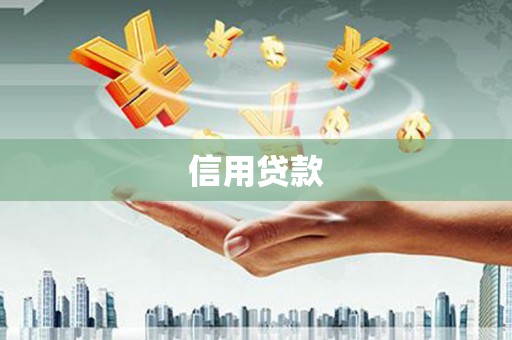 连云信用贷款