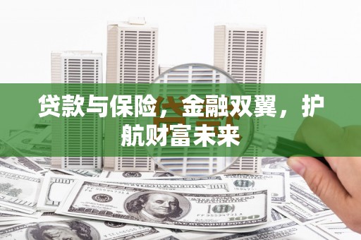 连云贷款与保险，金融双翼，护航财富未来