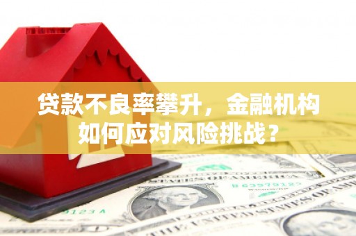 连云贷款不良率攀升，金融机构如何应对风险挑战？