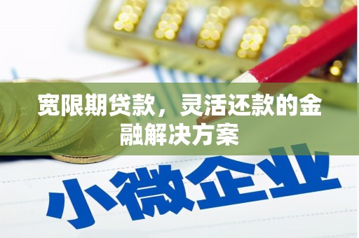 连云宽限期贷款，灵活还款的金融解决方案