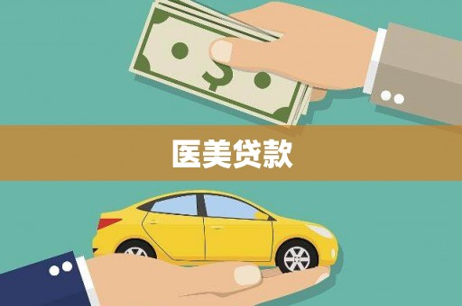 连云医美贷款