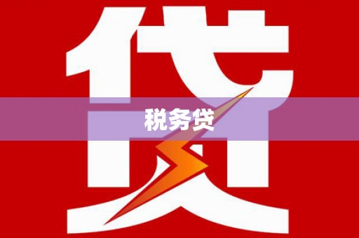 连云税务贷