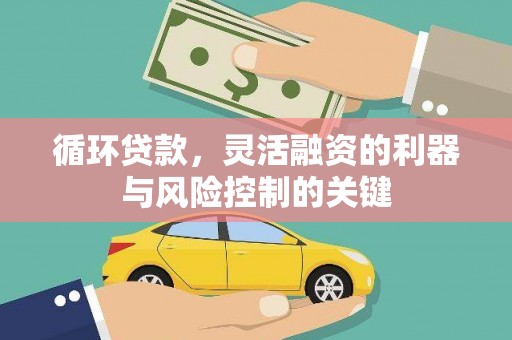 连云循环贷款，灵活融资的利器与风险控制的关键