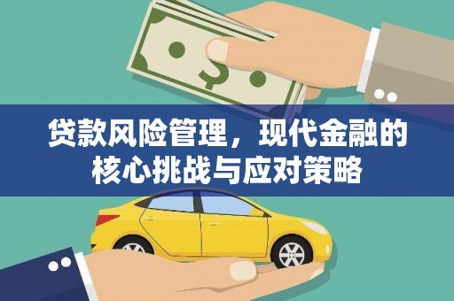 连云贷款风险管理，现代金融的核心挑战与应对策略