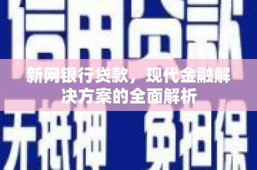连云新网银行贷款，现代金融解决方案的全面解析
