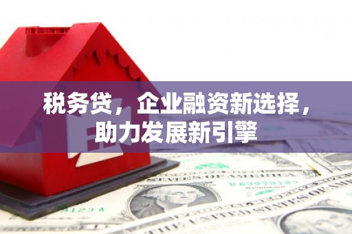 连云税务贷，企业融资新选择，助力发展新引擎