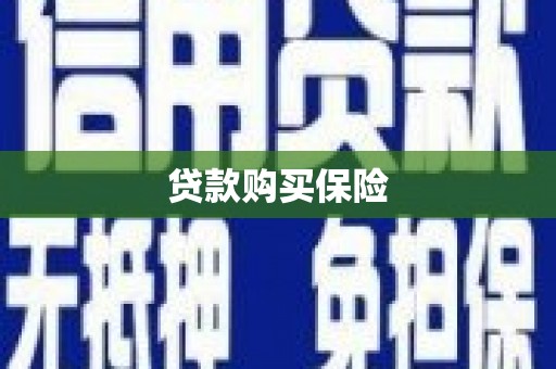 连云贷款购买保险