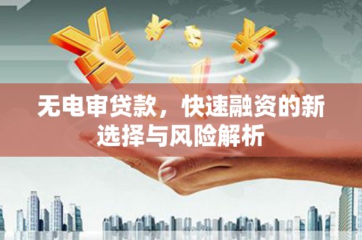 连云无电审贷款，快速融资的新选择与风险解析