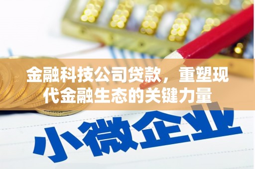 连云金融科技公司贷款，重塑现代金融生态的关键力量