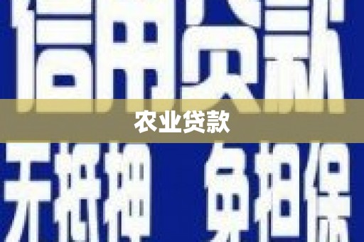 连云农业贷款