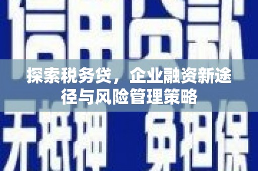 连云探索税务贷，企业融资新途径与风险管理策略