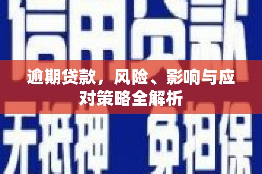 连云逾期贷款，风险、影响与应对策略全解析