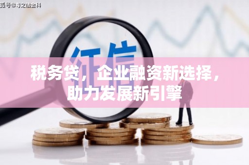 连云税务贷，企业融资新选择，助力发展新引擎