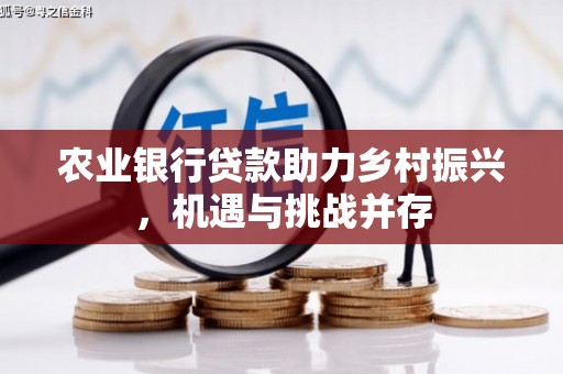 连云农业银行贷款助力乡村振兴，机遇与挑战并存