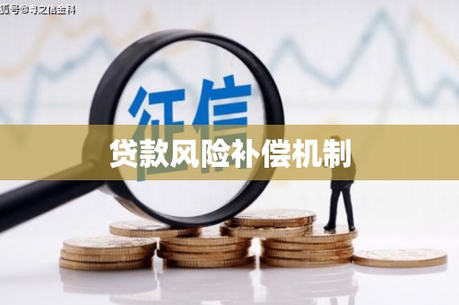连云贷款风险补偿机制