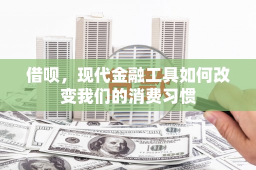 连云借呗，现代金融工具如何改变我们的消费习惯