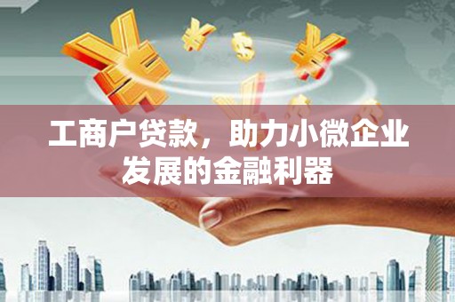连云工商户贷款，助力小微企业发展的金融利器