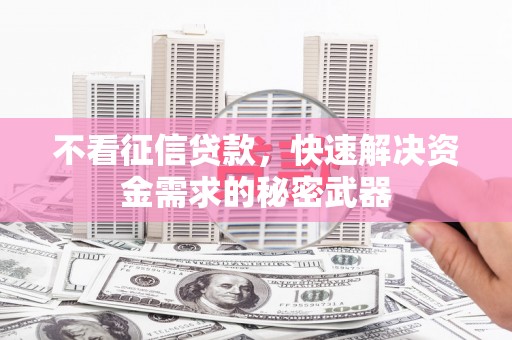 连云不看征信贷款，快速解决资金需求的秘密武器