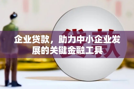 连云企业贷款，助力中小企业发展的关键金融工具
