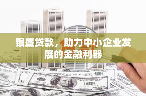 连云银盛贷款，助力中小企业发展的金融利器